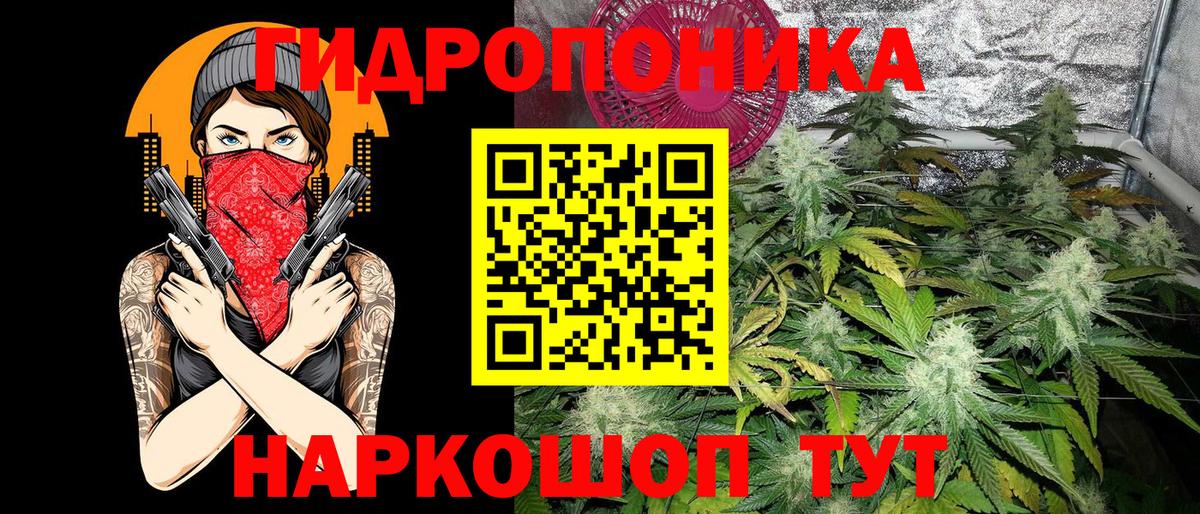 Шишки марихуана семена Видное